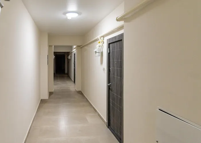 311 Бухарест